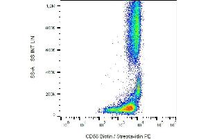 Flow cytometry analysis (surface staining) of human peripheral blood cells with anti-CD58 (MEM-63) biotin / streptavidin-PE.