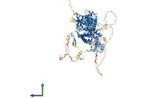 Protein Structure (PS) image for Bromodomain Containing 1 (BRD1) (AA 1-1058) protein (His tag) (ABIN7552743)