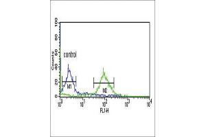 Flow Cytometry (FACS) image for anti-Enoyl-CoA Delta Isomerase 1 (ECI1) antibody (ABIN3003901) (DCI antibody)