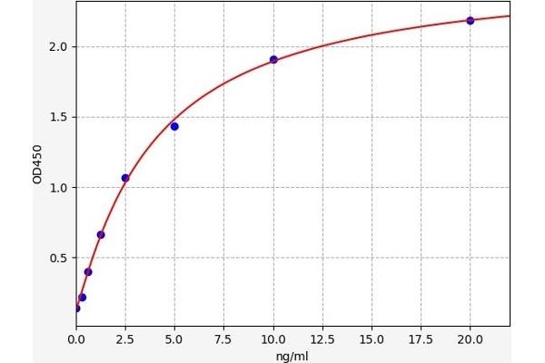 EIF3A ELISA Kit