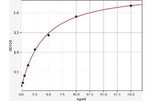 Typical standard curve (EIF3A ELISA Kit)