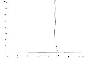 Size-exclusion chromatography-High Pressure Liquid Chromatography (SEC-HPLC) image for Folate Receptor 2 (Fetal) (FOLR2) (AA 21-227) protein (His tag) (ABIN7274670)