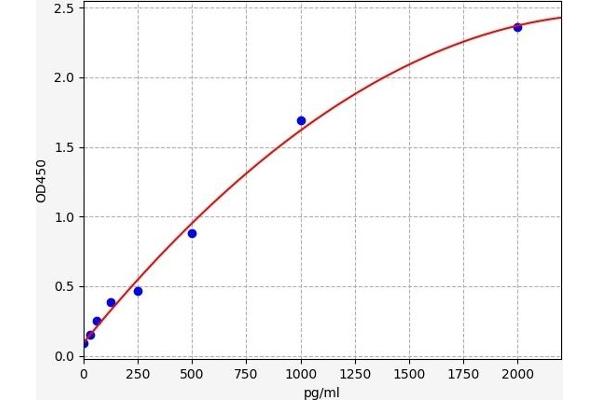 ADNP ELISA Kit