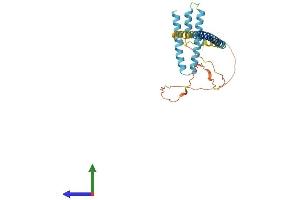 Protein Structure (PS) image for Receptor Accessory Protein 4 (REEP4) (AA 1-257) protein (His tag) (ABIN7559424)
