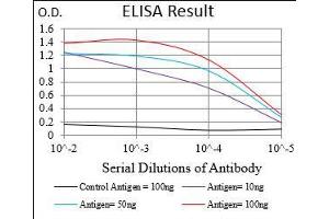 Black line: Control Antigen (100 ng), Purple line: Antigen(10 ng), Blue line: Antigen (50 ng), Red line: Antigen (100 ng), (HDAC10 antibody  (AA 18-219))