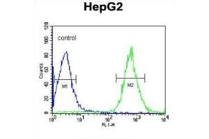 Flow Cytometry (FACS) image for anti-Cyclin-Dependent Kinase 14 (CDK14) antibody (ABIN3002794) (CDK14 antibody)