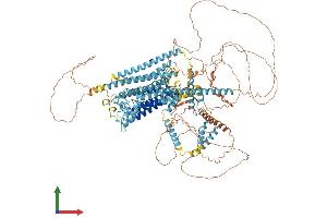 AlphaFold protein structure predicition of Mouse Recombinant Tmc3 Protein, UniprotID Q7TQ69