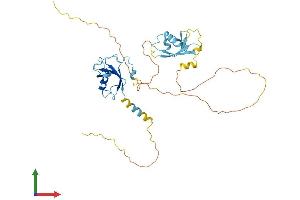 AlphaFold protein structure predicition of Mouse Recombinant Dcx Protein, UniprotID O88809 (Doublecortin Protein (DCX) (AA 1-366) (His tag))