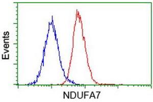 Flow Cytometry (FACS) image for anti-NADH Dehydrogenase (Ubiquinone) 1 alpha Subcomplex, 7, 14.5kDa (NDUFA7) antibody (ABIN1499661) (NDUFA7 antibody)