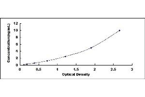 Typical standard curve (SYNE2 ELISA Kit)