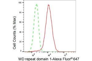 Flow cytometric analysis of WD repeat domain 1 expression in H9c2 cells using WD repeat domain 1 antibody (ABIN7800852), 1:2,000). (Recombinant WDR1 antibody)