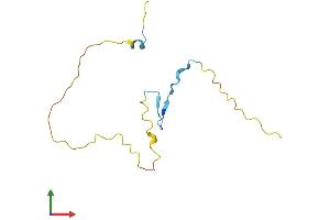AlphaFold protein structure predicition of Mouse Recombinant Prr15 Protein, UniprotID Q9D1T5 (Proline Rich 15 Protein (PRR15) (AA 1-122) (His tag))