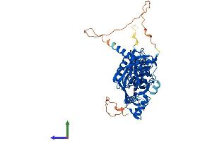 Protein Structure (PS) image for F-Box Protein 31 (FBXO31) (AA 1-539) protein (His tag) (ABIN7547697)