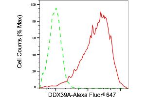 Flow cytometric analysis of DDX39A expression in HepG2 cells using DDX39A antibody (ABIN7798287), 1:2,000). (DDX39 antibody)