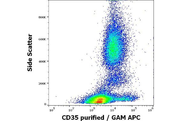 CD35 antibody