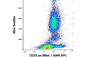 Flow cytometry surface staining pattern of human peripheral whole blood stained using anti-human CD35 (E11) purified antibody (concentration in sample 3 μg/mL, GAM APC).