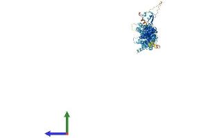 AlphaFold protein structure predicition of Mouse Recombinant Exoc6b Protein, UniprotID A6H5Z3 (EXOC6B Protein (AA 1-810) (His tag))