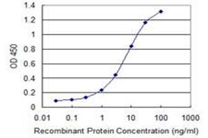 Detection limit for recombinant GST tagged DIS3 is 0. (DIS3 antibody  (AA 861-956))