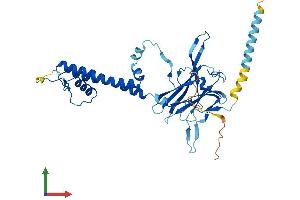 AlphaFold protein structure predicition of Human Recombinant KCNJ15 Protein, UniprotID Q99712 (KCNJ15 Protein (AA 1-375) (His tag))