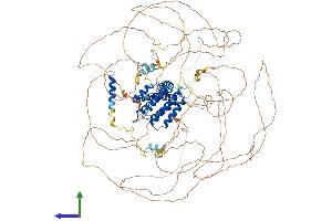 AlphaFold protein structure predicition of Mouse Recombinant Aff4 Protein, UniprotID Q9ESC8