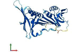 AlphaFold protein structure predicition of Mouse Recombinant Hus1 Protein, UniprotID Q8BQY8