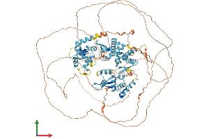 AlphaFold protein structure predicition of Mouse Recombinant Magee1 Protein, UniprotID Q6PCZ4 (MAGEE1 Protein (AA 1-918) (His tag))