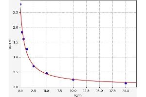 NT5C3L ELISA Kit