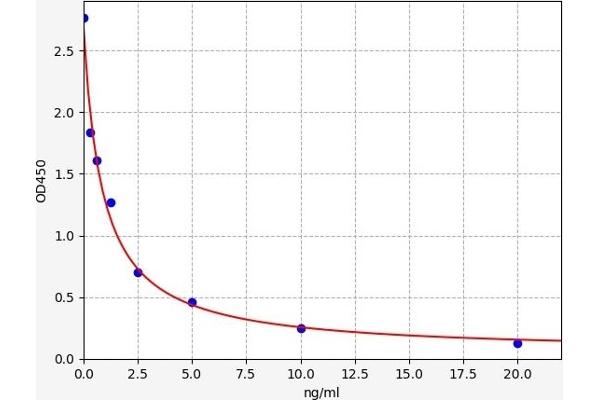 NT5C3L ELISA Kit