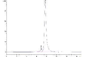 The purity of Human CLEC2D is greater than 95 % as determined by SEC-HPLC.