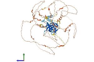 Protein Structure (PS) image for Bromo Adjacent Homology Domain Containing 1 (BAHD1) (AA 1-772) protein (His tag) (ABIN7563775)