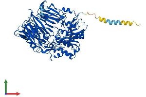 AlphaFold protein structure predicition of Human Recombinant DPP4 Protein, UniprotID P27487 (DPP4 Protein (AA 1-766) (His tag))