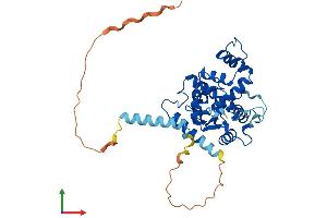 AlphaFold protein structure predicition of Human Recombinant CHST14 Protein, UniprotID Q8NCH0