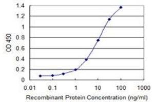 Detection limit for recombinant GST tagged KIAA1199 is 0. (CEMIP antibody  (AA 880-979))