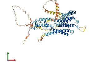 Protein Structure (PS) image for Transmembrane Protein 39B (TMEM39B) (AA 1-492) protein (His tag) (ABIN7544414)