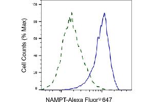 Flow cytometric analysis of NAMPT expression in HepG2 cells using NAMPT antibody (ABIN7799595), 1:2,000).