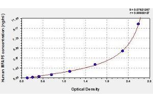 Typical standard curve (MFAP5 ELISA Kit)