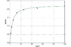 A typical standard curve