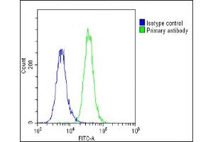 Overlay histogram showing A549 cells stained with (ABIN6243218 and ABIN6578914)(green line). (GRB14 antibody  (AA 14-48))