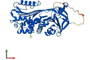 Protein Structure (PS) image for serpin Peptidase Inhibitor, Clade B (Ovalbumin), Member 8 (SERPINB8) (AA 1-374) protein (His tag) (ABIN7562208)
