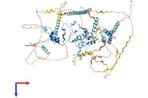 SF3B2 Protein (AA 1-895) (His tag)
