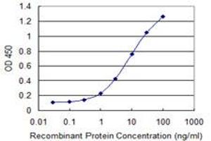 Detection limit for recombinant GST tagged C9orf95 is 0. (NMRK1 antibody  (AA 1-90))