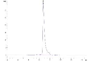 The purity of Human SLAMF7 is greater than 95 % as determined by SEC-HPLC. (SLAMF7 Protein (AA 23-226) (Fc Tag))