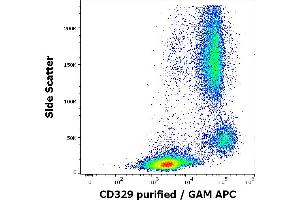 Flow cytometry surface staining pattern of human peripheral whole blood stained using anti-human CD329 (K8) purified antibody (concentration in sample 1,7 μg/mL, GAM APC). (SIGLEC9 antibody)