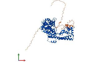 Protein Structure (PS) image for SET Domain Containing 3 (SETD3) (AA 1-594) protein (His tag) (ABIN7560027)