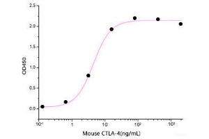 ELISA image for Cytotoxic T-Lymphocyte-Associated Protein 4 (CTLA4) (Active) protein (His tag) (ABIN7320509) (CTLA4 Protein (His tag))