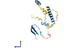 AlphaFold protein structure predicition of Mouse Recombinant Akip1 Protein, UniprotID Q9JJR5