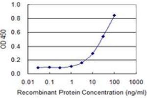Detection limit for recombinant GST tagged COX15 is 1 ng/ml as a capture antibody. (COX15 antibody  (AA 92-152))