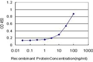 Detection limit for recombinant GST tagged SYT1 is approximately 1ng/ml as a capture antibody. (SYT1 antibody  (AA 1-422))