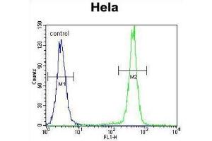 Flow Cytometry (FACS) image for anti-Protocadherin beta 10 (PCDHB10) antibody (ABIN2996327) (PCDHB10 antibody)