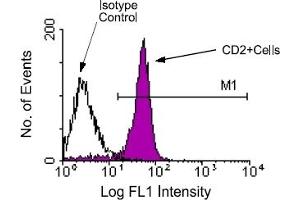 Flow Cytometry (FACS) image for anti-CD2 (CD2) antibody (FITC) (ABIN356209) (CD2 antibody  (FITC))